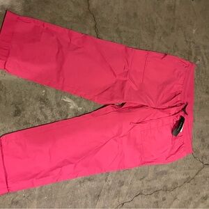 Talbots Fuchsia Pants